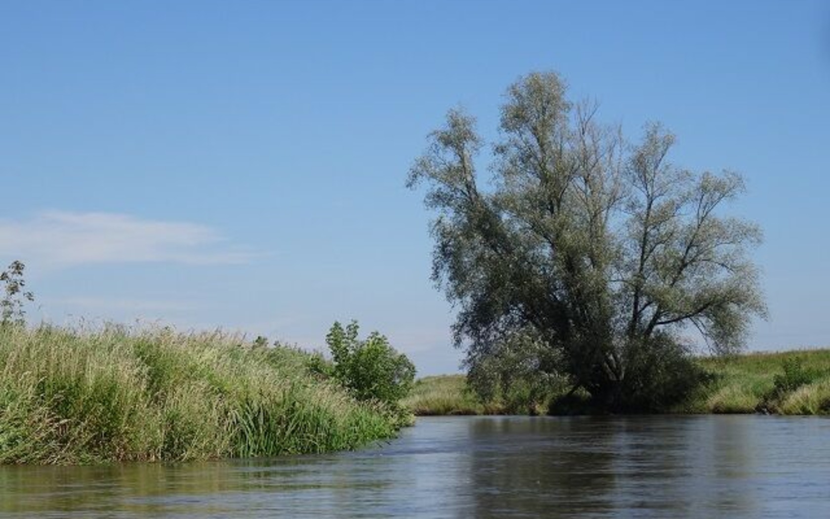 Entlang der Neißeauen, Foto: MuT Guben