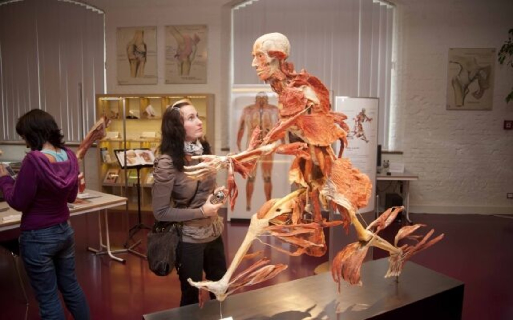 Plastinarium in Guben, Foto: Gubener Plastinate GmbH