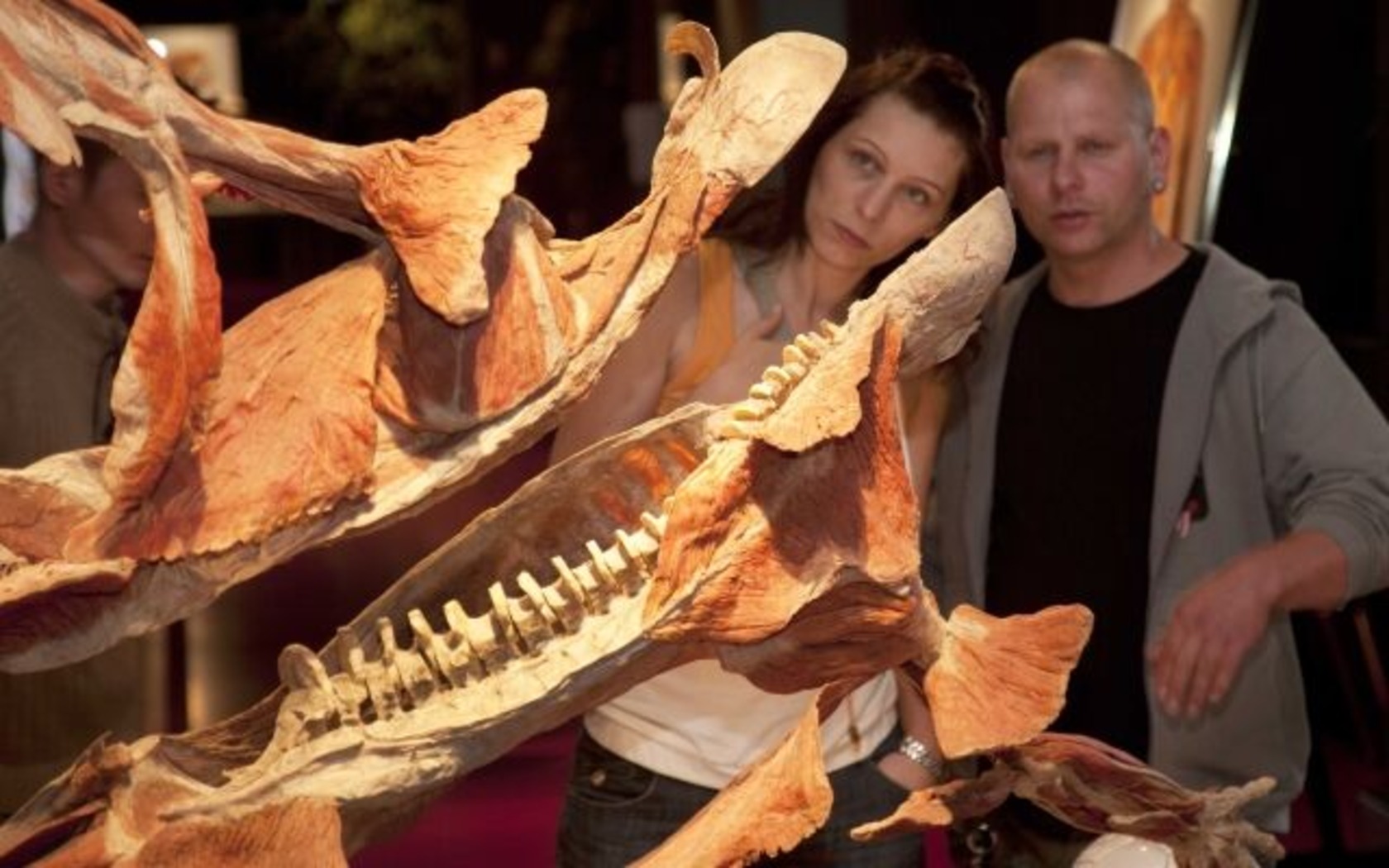 Plastinarium in Guben, Foto: Gubener Plastinate GmbH