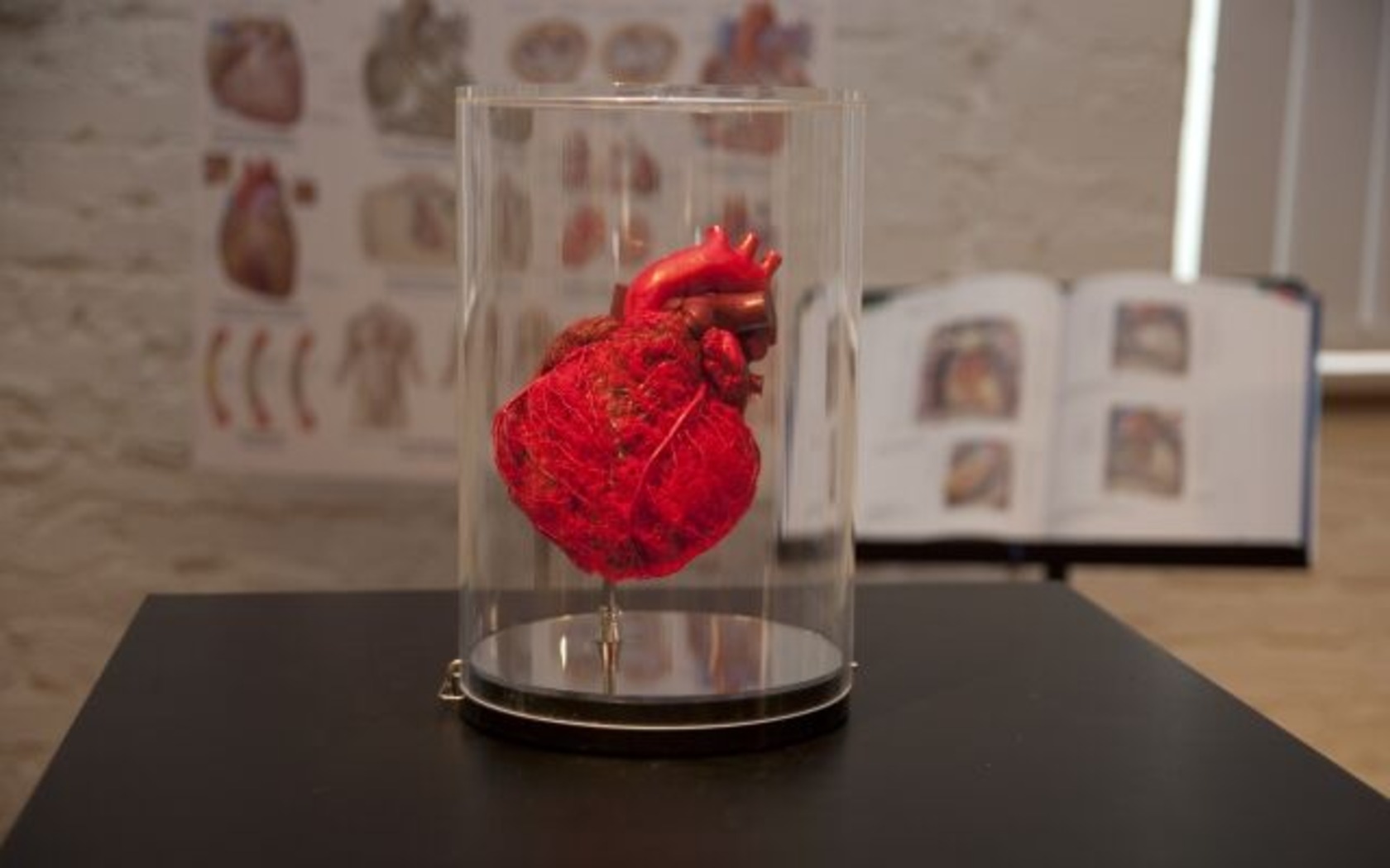 Plastinarium in Guben, Foto: Gubener Plastinate GmbH