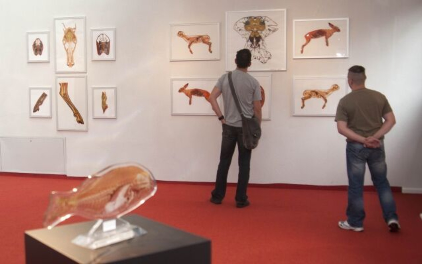 Plastinarium in Guben, Foto: Gubener Plastinate GmbH