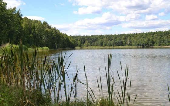 Kleinsee, Foto: Marketing und Tourismus Guben e.V.