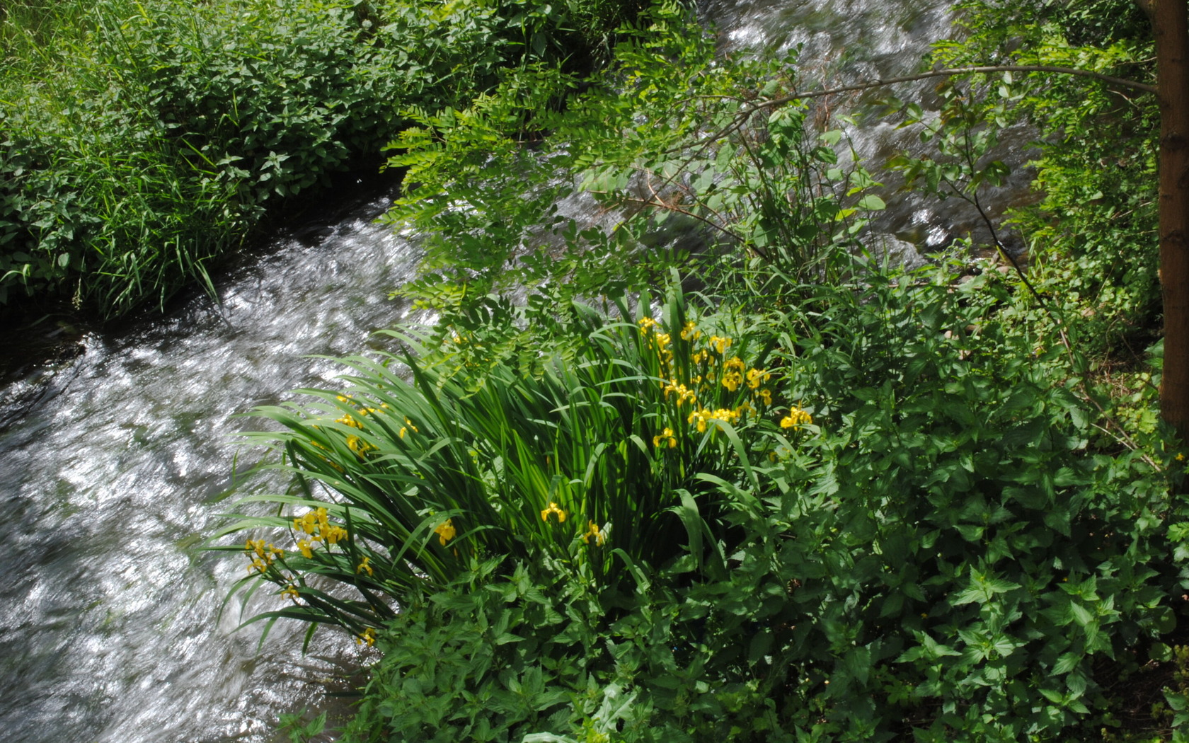 Egelneiße, Foto: Marketing und Tourismus Guben e.V.