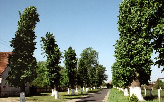Unterwegs im Gubiner Land, Foto: MuT Guben