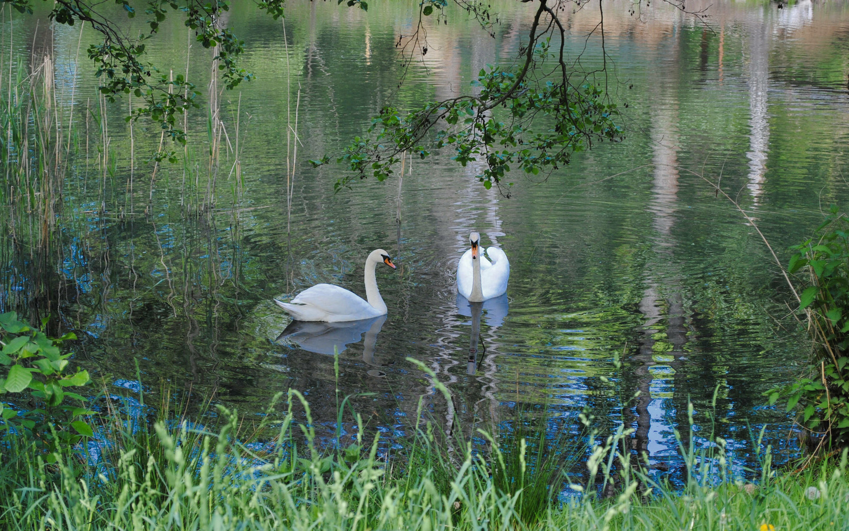 Gubener Stadtpark, Foto: MuT ― Marketing und Tourismus Guben e.V.