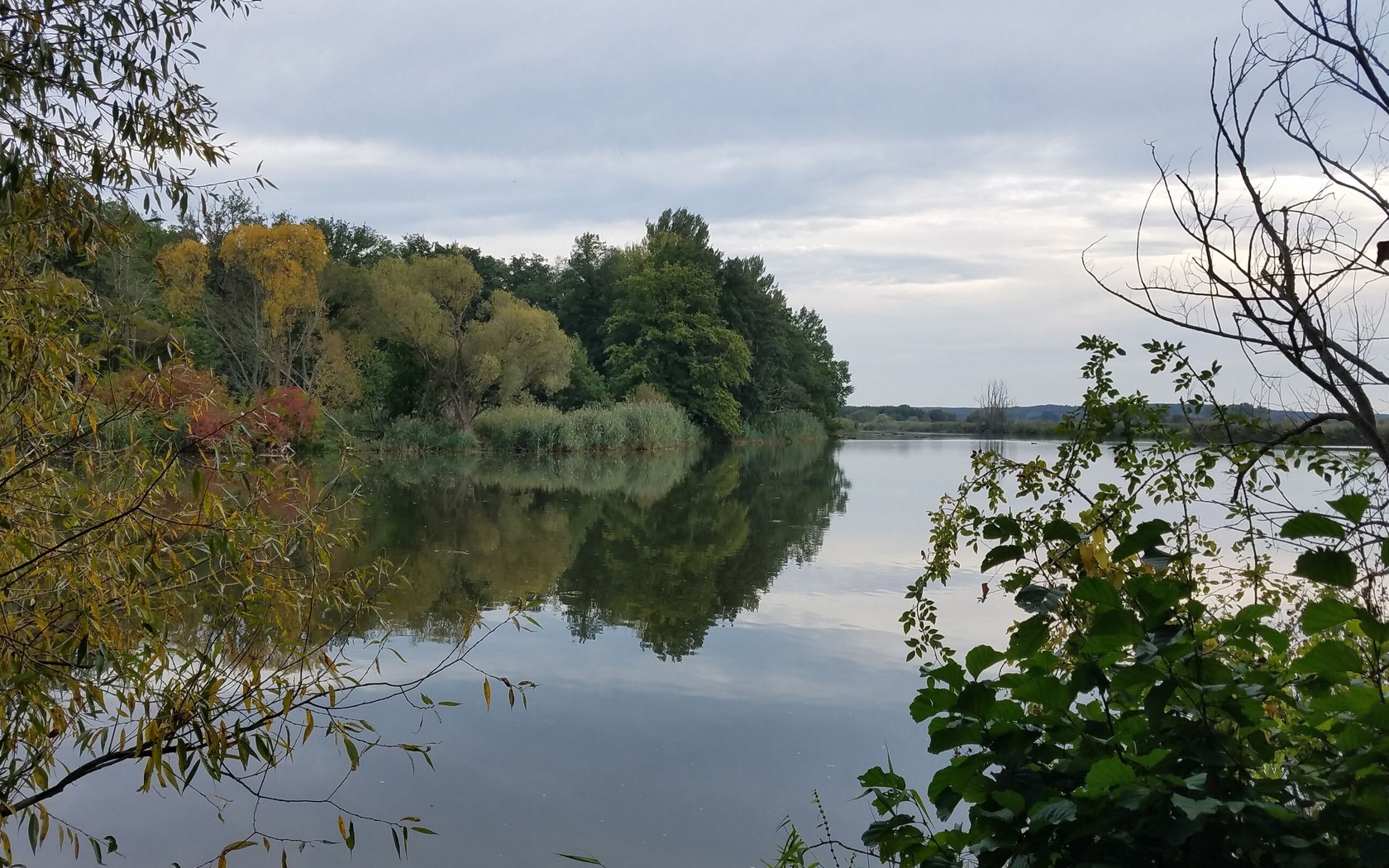 Neiße bei Groß Gastrose, Foto: Marketing und Tourismus Guben e.V., Foto: Marketing und Tourismus Guben e.V., Lizenz: Marketing und Tourismus Guben e.V.