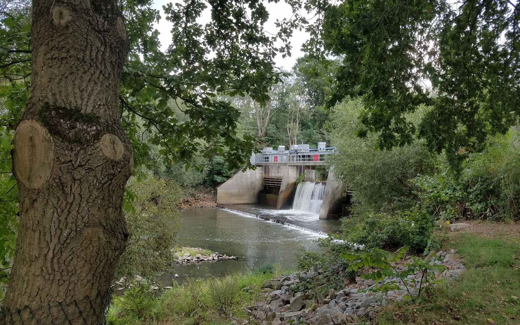Wehr bei Groß Gastrose, Foto: Marketing und Tourismus Guben e.V., Foto: Marketing und Tourismus Guben e.V., Lizenz: Marketing und Tourismus Guben e.V.