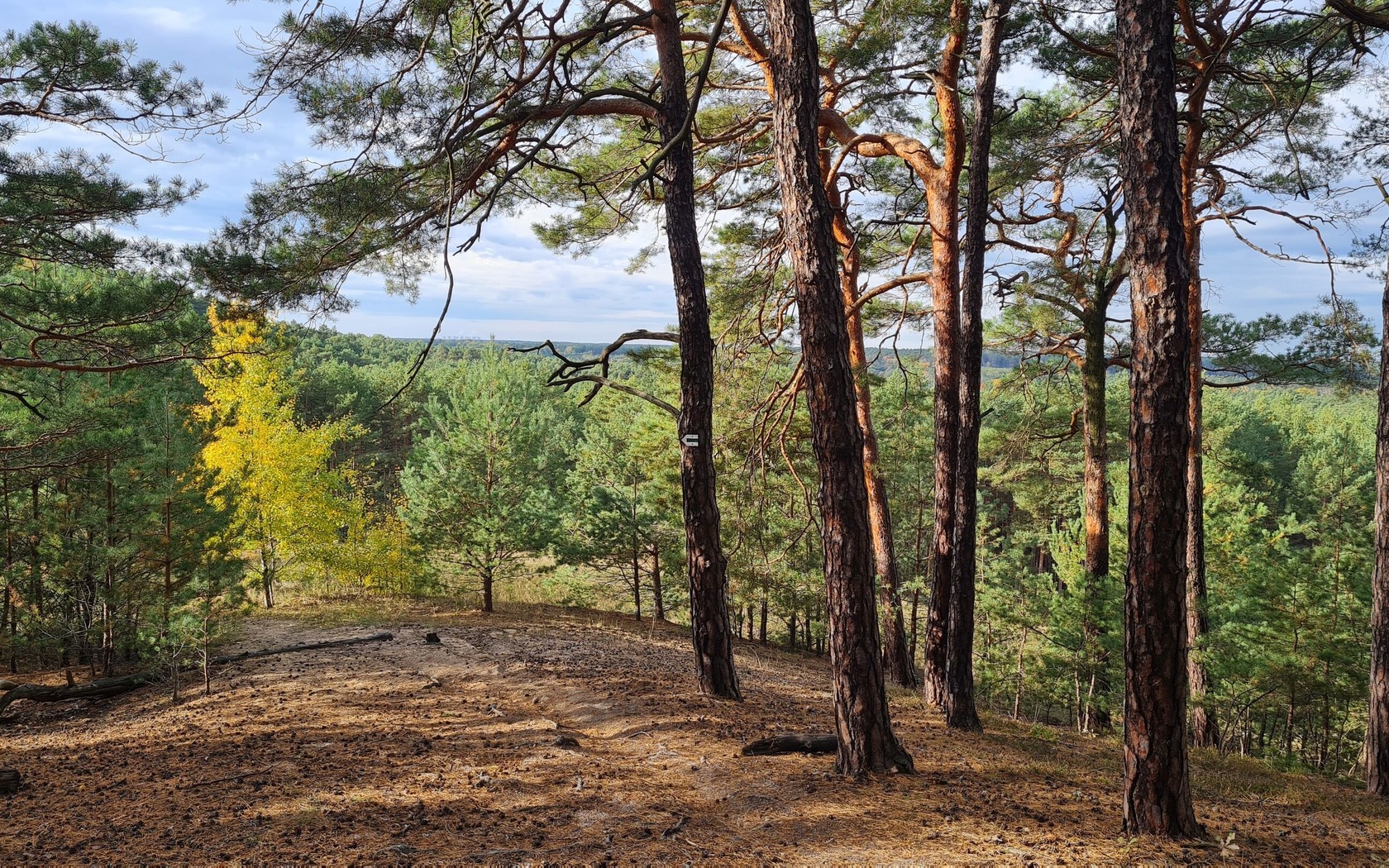 Kaltenborner Berge, Foto: Eva Lau, Lizenz: Tourismusverband Lausitzer Seenland e.V.