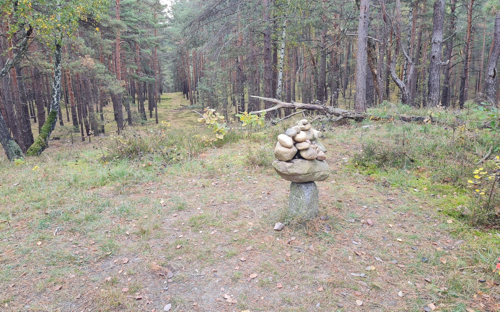 "Kahle Glatze", Foto: Eva Lau, Lizenz: Tourismusverband Lausitzer Seenland e.V.