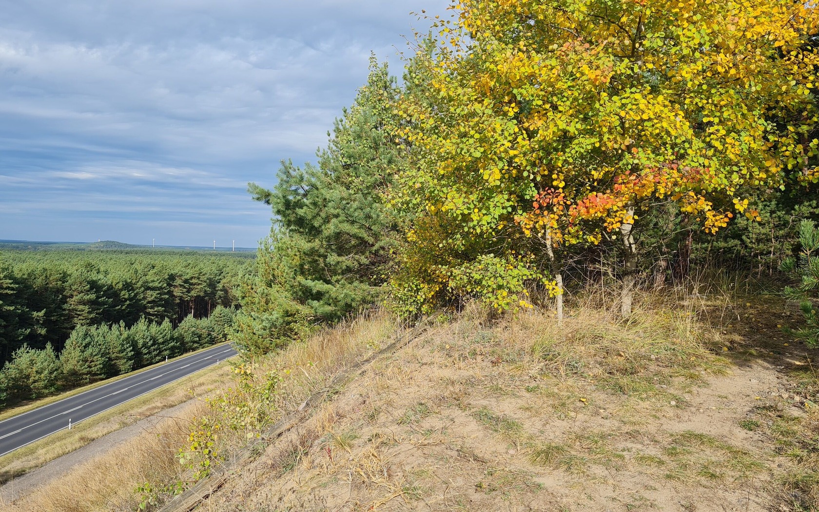 View of the surroundings, Foto: Eva Lau, Lizenz: Tourismusverband Lausitzer Seenland e.V.