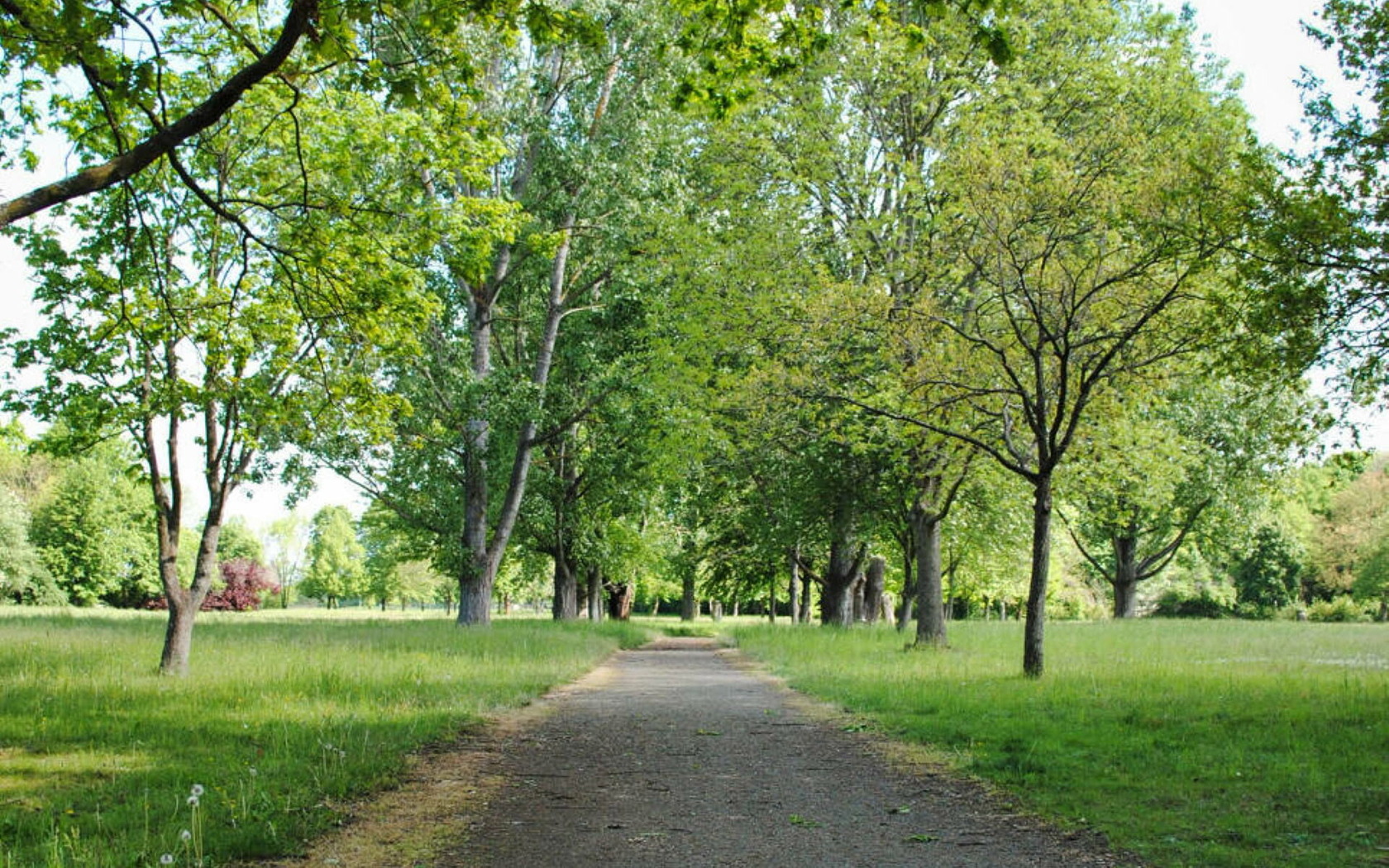Gubener Stadtpark, Foto: MuT ― Marketing und Tourismus Guben e.V.