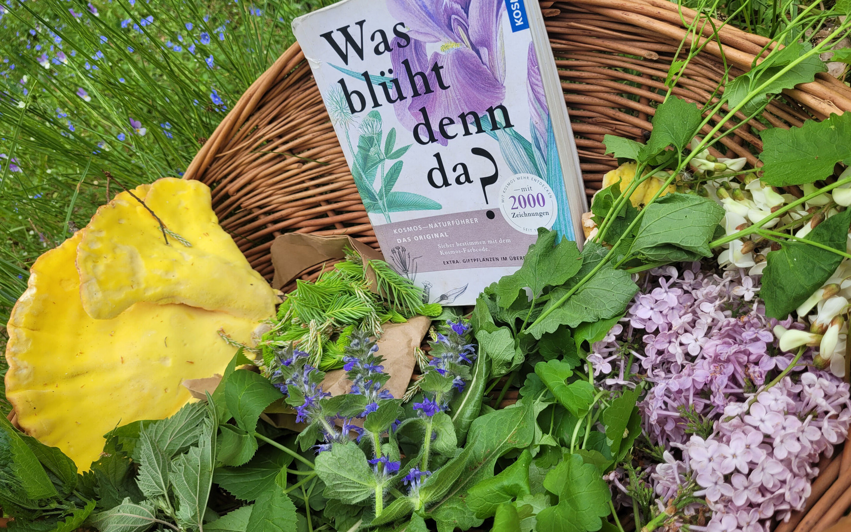 Wildnisschule Walk on the Wildside, Foto: Lydia Wawerek, Lizenz: Wildnisschule Walk on the Wildside