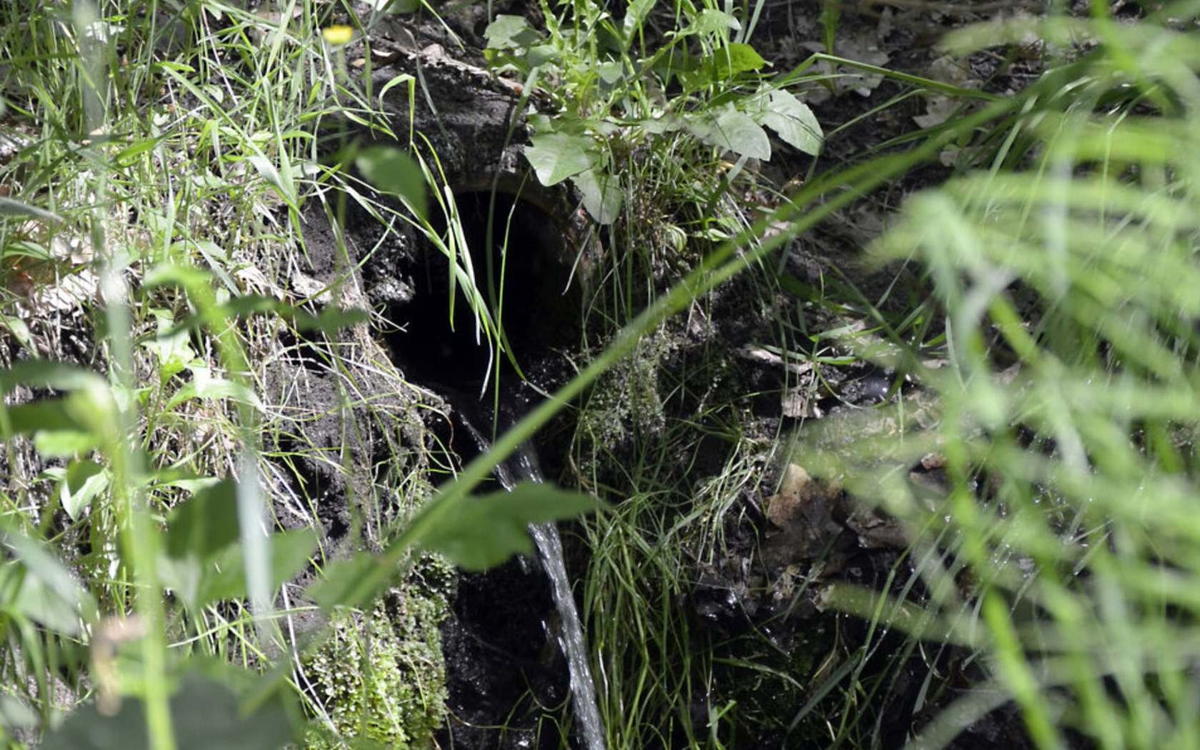 Foto: Stefanie Richter, Lizenz: Stefanie Richter