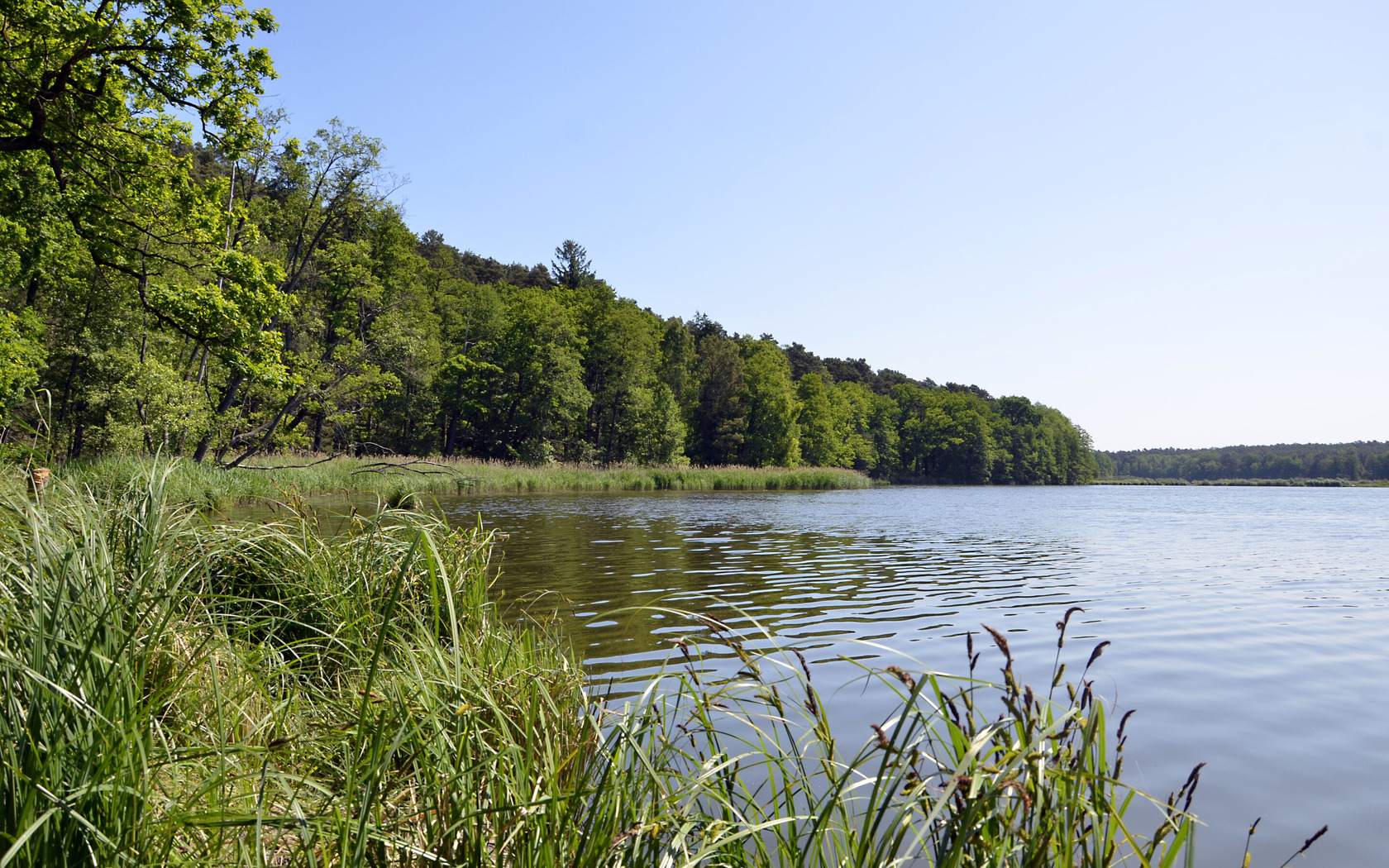 Ufer, Foto: Stefanie Richter, Lizenz: Stefanie Richter