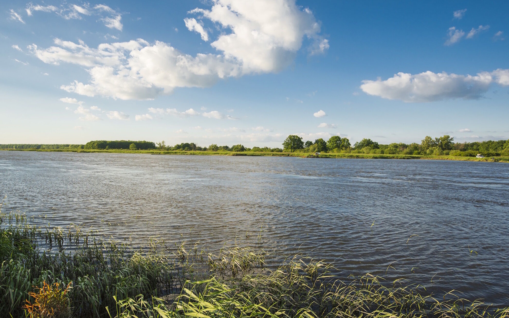 Oder bei Ratzdorf; TMB Fotoarchiv Steffen Lehmann